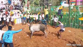 வன்னியன் விடுதி 🐂🐂🐂🐃ஜல்லிக்கட்டு 2023