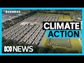 Climate action in Australia urged ahead of Glasgow COP26 talks | The Business | ABC News