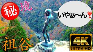 【絶景空撮】秘境で再発見⁉️日本の魅力‼️いやぁ〜ん⁉️祖谷‼️🤣 徳島県 三好市 【４K】#癒し #ドローン #絶景