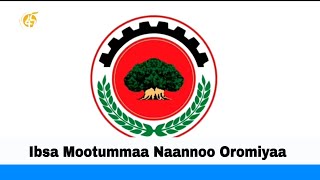 Ibsa Mootummaa Naannoo Oromiyaa