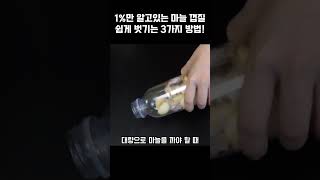 1%만 알고있는 마늘 껍질 쉽게 벗기는 3가지 방법! #생활꿀팁 #꿀팁 #생활정보