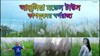 Beautiful Catkin Flowers in Amulia Model Town | Best Place of Kashful in Dhaka | Adda Restaurant