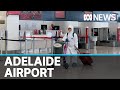 Coronavirus baggage handler cluster grows as travellers take isolation seriously | ABC News