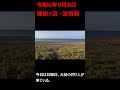 09 08　煙樹ヶ浜・波情報 shorts ＃遠投カゴ釣り 和歌山釣り 煙樹ヶ浜