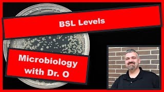 BSL Biosafety Levels: Microbiology Lab