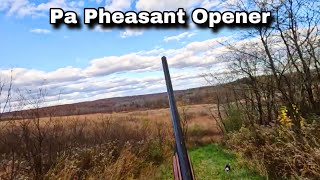 Pa Pheasant Opener 2024