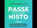 histologie cours 6 tissus conjonctifs partie 1