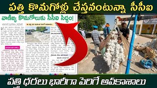 cci purchase cotton || పత్తి ఇక సీసీఐ కొనుగోళ్లు ఇప్పడినుండో చుడండి