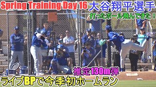 ２度目のライブBPで今季初ホームラン～推定130m弾～【大谷翔平選手】～スプトレ Day 16～Shohei Ohtani 2025 Spring Training Day 16