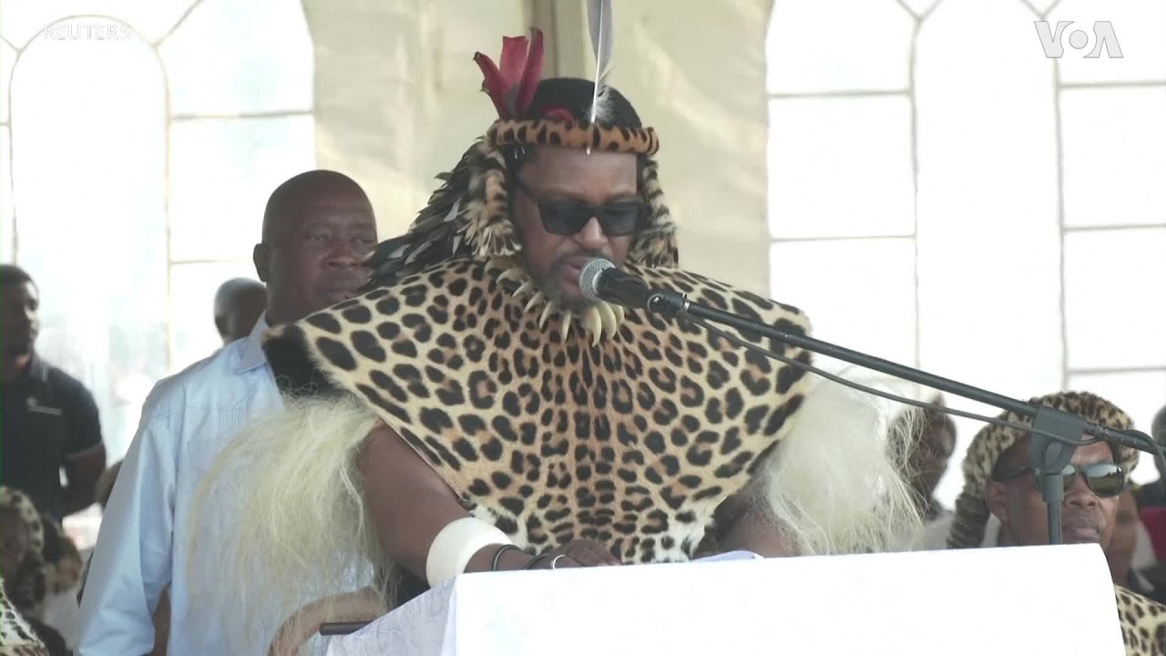 Traditional Zulu Reed Dance Revived Youtube Traditional Zulu Reed Dance Revived Youtube