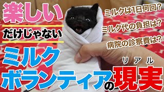 楽しいだけじゃない！ミルクボランティアの現実