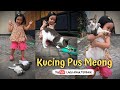 Kucing Pus Meong Lagu Anak Anak Terbaru