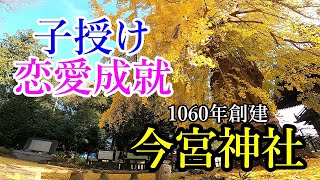 #187 樹齢700年の大イチョウ！御朱印も季節限定でオシャレだった【今宮神社】700-year-old large ginkgo tree at Imamiya Shrine