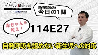 114E27 動画で学ぶ医師国試（MAC）自発呼吸を認めない新生児への対応（今日の1問）