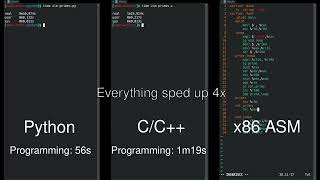 Python, C++, and Assembly: Side-by-Side Comparison