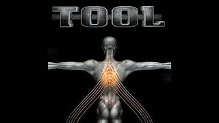 TOOL - 05 You Lied (Live)