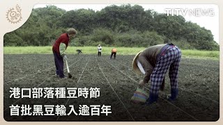 港口部落種豆時節 首批黑豆輸入逾百年｜每日熱點新聞｜原住民族電視台