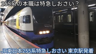 【255系の本職？】特急しおさい5号銚子行 東京駅発着 JR東日本255系Be-01編成