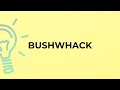 What is the meaning of the word BUSHWHACK?