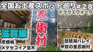 【日本一周中】全国お土産スポット巡り〜滋賀編〜メタセコイア並木＆彦根城＆琵琶湖バレイ＆甲賀の里忍術村【ドラクエウォーク】