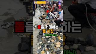 평범한 돌을 사고 파는 이유 #지식 #상식 #과학