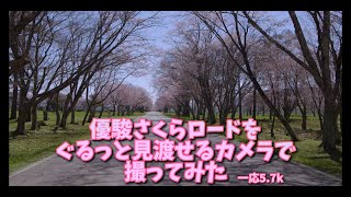 北海道の桜の名所 優駿さくらロードをぐるっと見渡せるカメラで撮ってみた