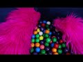 asmr gumball sounds u0026 gum chewing to cure your insomnia