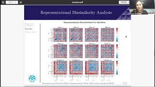 Talk: Comparison of Cortical Object Representation With Neuroscience-Inspired Deep Neural Networks
