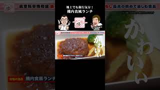 【#ジョイマンの飯たび 】空港の横で旅行気分が味わえる逸品！ #航空科学博物館 #機内食 #航空機 #飛行機 #成田市 #成田ケーブルテレビ #ジョイマン #芝山町