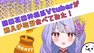 藤の花の神様系Vtuberが藤ハチミツ食べてみた！