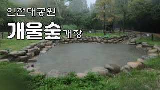 인천개울숲(인천대공원) ㅣ인천대공원안에 인공으로 조성된 개울