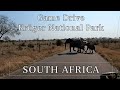 Kruger National Park - South African Safari Tour in Winter || Vorgewandert - Quick Virtual Travel