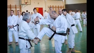 Dento Shito Ryu Seminar with Yoshiharu Hatano 8. dan, Eger-2018