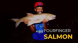 സാൽമൺ എന്ന പേരുള്ള FOURFINGER THREADFIN