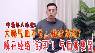 大腿气血不循环，怕冷还没劲？教你促进腿部循环，气血好了，腿脚就好【人体百科David伟】