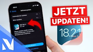 iOS 18.2.1 Update ist da - Warum du es JETZT installieren solltest! | Nils-Hendrik Welk