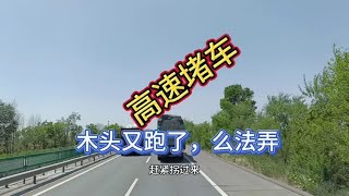 本来说今天跑一千公里呢，结果高速事故直接堵了四个小时。