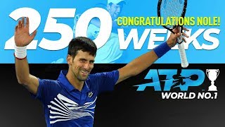 Djokovic Celebrates 250 Weeks At No. 1 In ATP Rankings