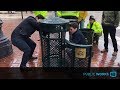 Trash cans go high-tech - EP.0028