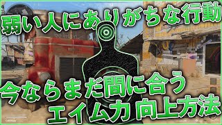 〖COD:BOCW〗弱い人にありがちな行動？今ならまだ間に合う！『プロの知識を応用した』エイム力向上方法