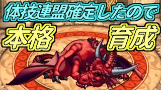 【どこパレ】体技連盟用竜神王2匹目！特性運は不調かな   ？【どこでもモンパレ】