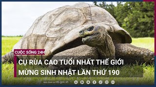 Cụ rùa già nhất thế giới mở tiệc 3 ngày đón sinh nhật thứ 190 | VTC Now