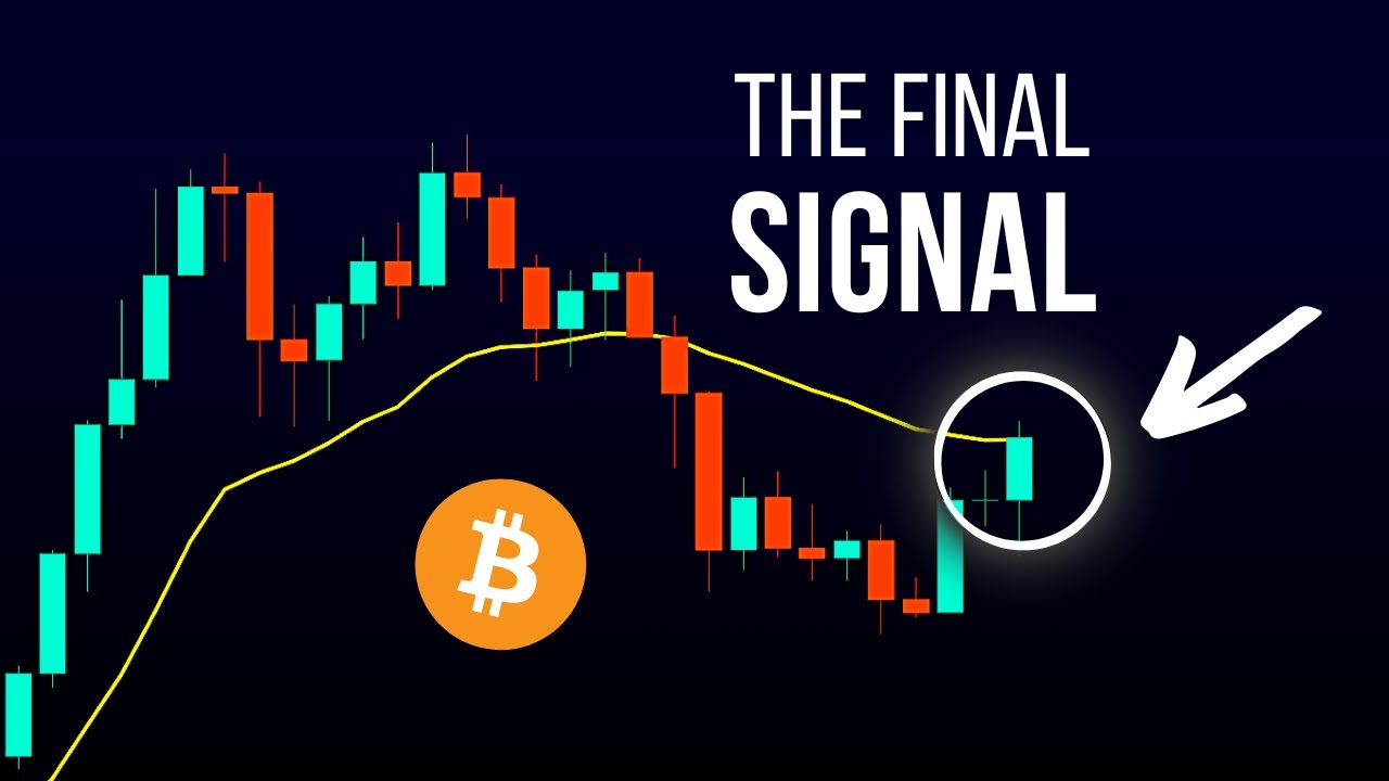 Bitcoin's LAST Bullish Signal Trigger | Bitcoin Price Prediction & News ...