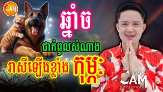 ឆ្នាំច ជាកំពូលឆ្នាំ មហាសំណាង រាសីឡើងខ្លាំង ក្នុងខែកុម្ភៈ ឆ្នាំ២០២៥នេះ ក្រោយចូលឆ្នាំចិនរួច