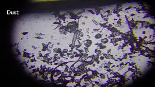 Cool Things Under a MICROSCOPE | Part 2!