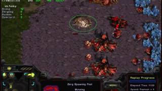 Starcraft Brood War Da Nang Viet Nam