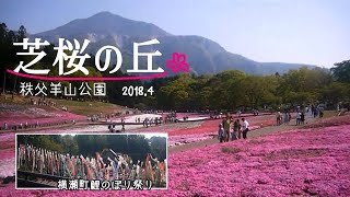 【秩父羊山公園】芝桜の丘★鯉のぼり祭り★埼玉県横瀬町★ 2018.4.22