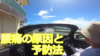 【オープンコペンで海沿いドライブ】健康ガイド：腰痛の原因と予防法 | 体を守るためのTips【4K雑談】