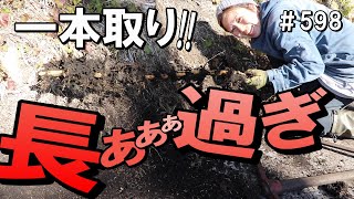 バールで一本取り!!!メリメリっと持ち上がる地下茎がチョー気持ちいい