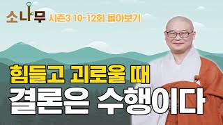 힘들고 괴로울 때 결론은 수행이다 [광우스님의 소나무 시즌3 몰아보기]